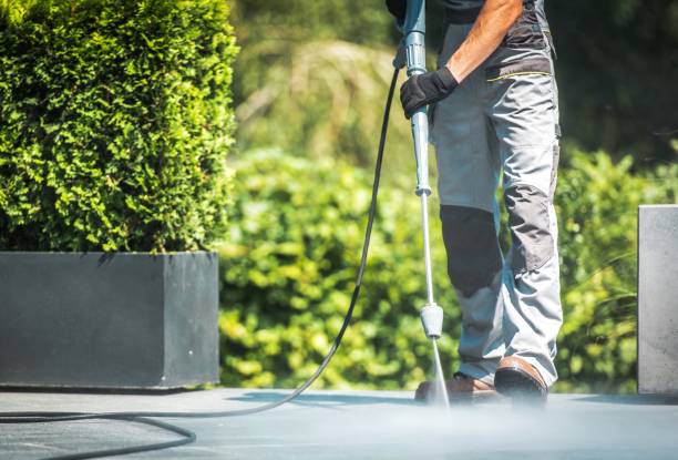 Best Roof Cleaning and Mildew Removal in Granite Shoals, TX